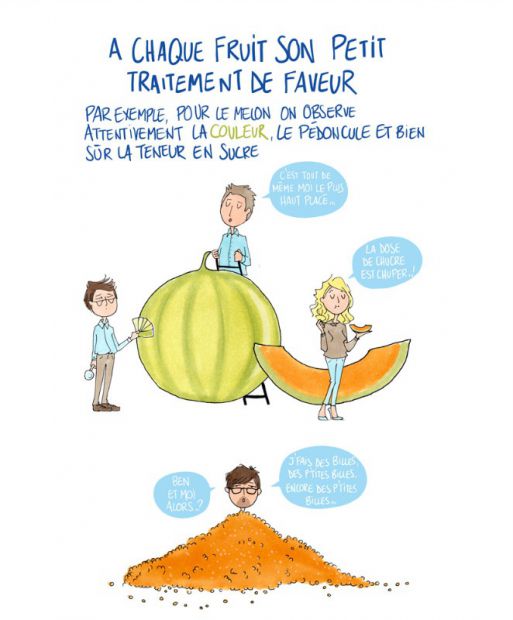 illustration cathy karsenty melon.jpg - Cathy KARSENTY | Virginie